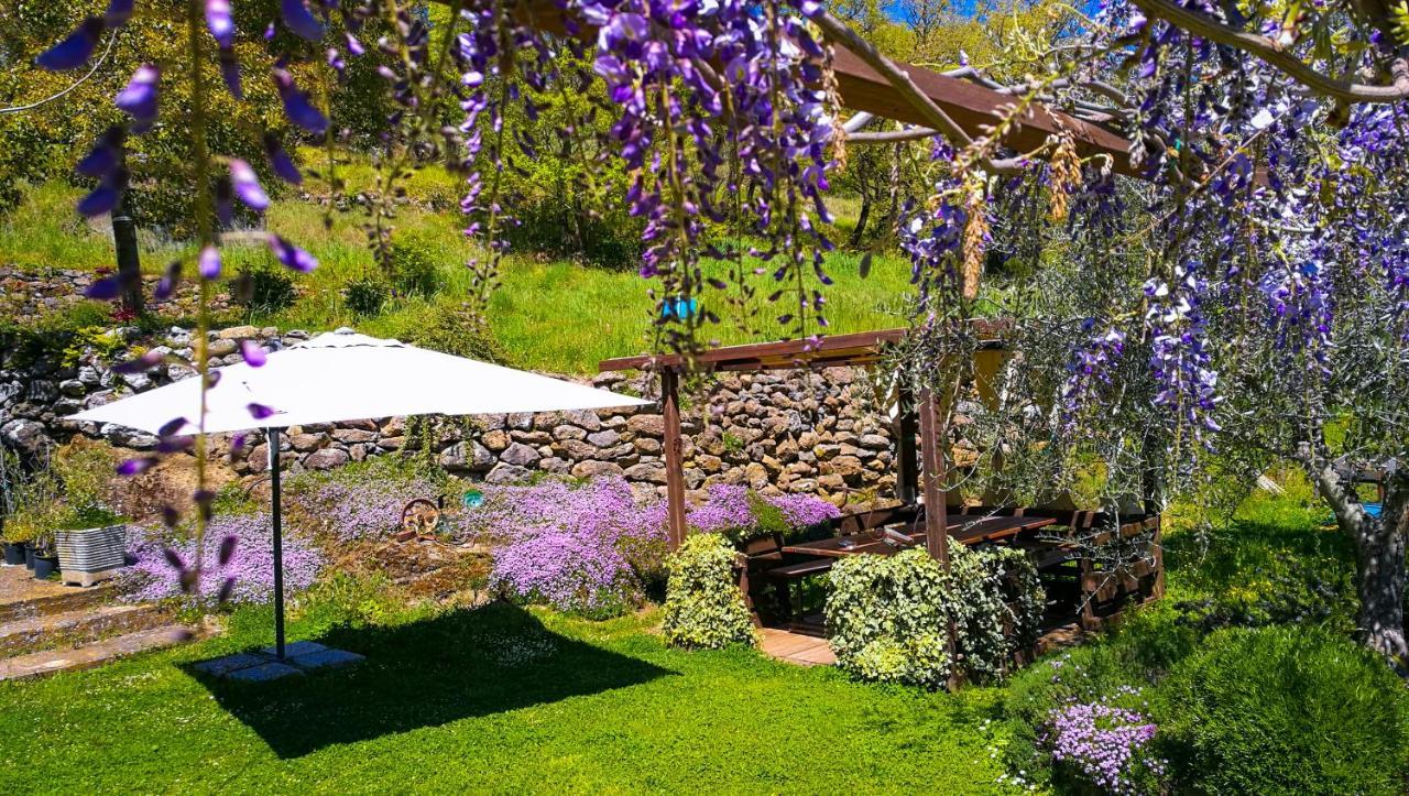 Podere Pontepietra Soriano nel Cimino Εξωτερικό φωτογραφία