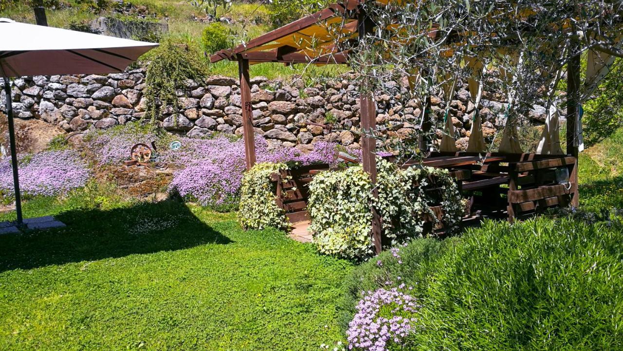 Podere Pontepietra Soriano nel Cimino Εξωτερικό φωτογραφία